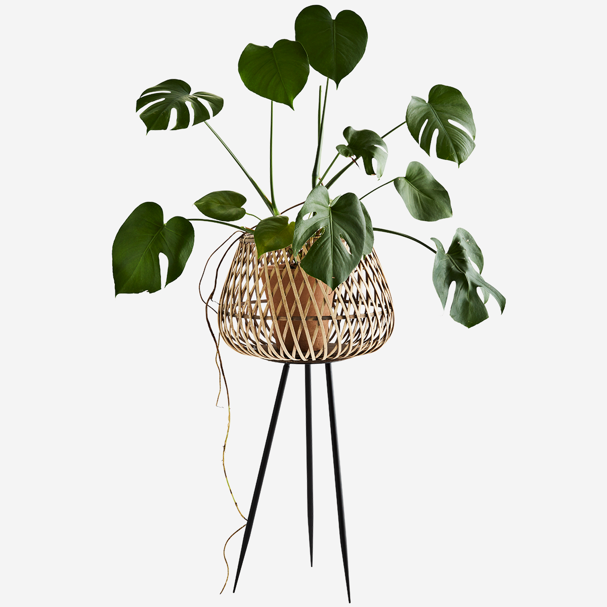 Bamboo Flower Stand